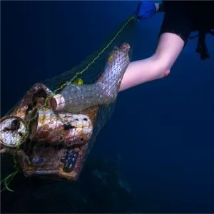 Trash being collected in the ocean