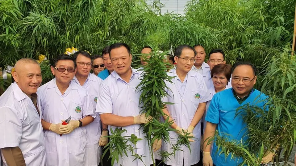 Then-Public Health Minister Anutin Charnvirakul posing next to cannabis plants at a cannabis clinic
