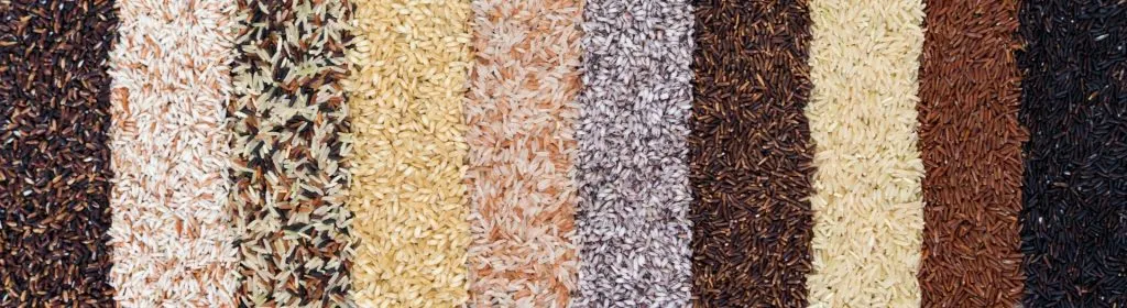 Rows of different types, colors, and textures of rice grains lined up.