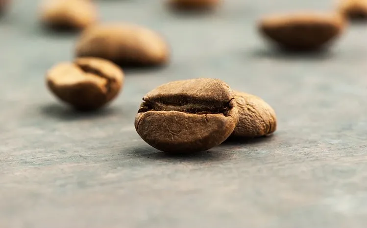 Robusta "Yala Coffee" bean.