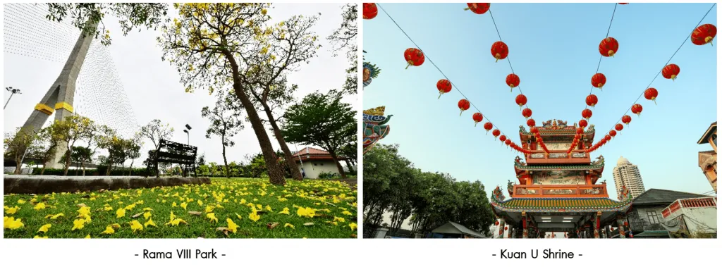Rama VIII Park and Kuan U Shrine.