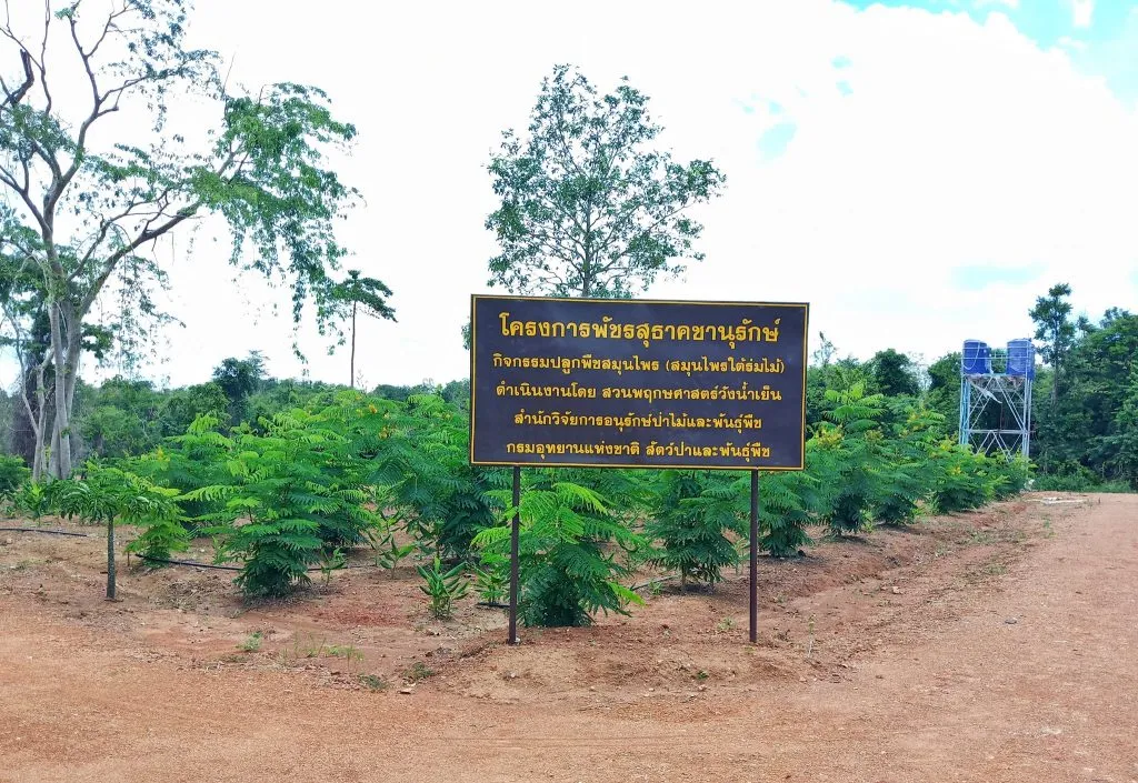 A designated area for planting medicinal herbs at the Bajrasudha Gajanurak Project.