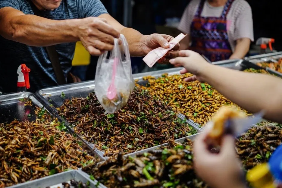 Food stalls can be seen at some fresh markets selling fried insects by weight.