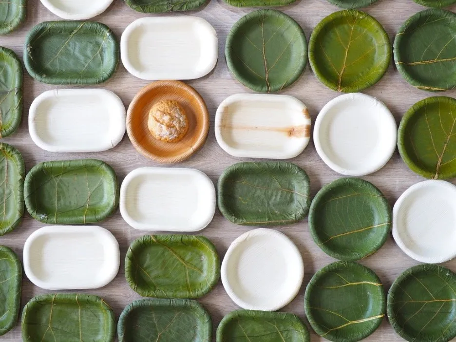Maemoh leaf and Kab mhak plate.