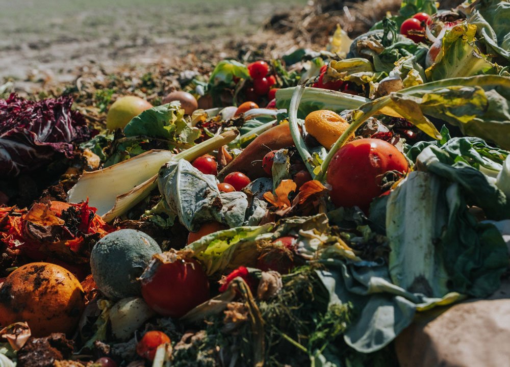 A mountain of food waste