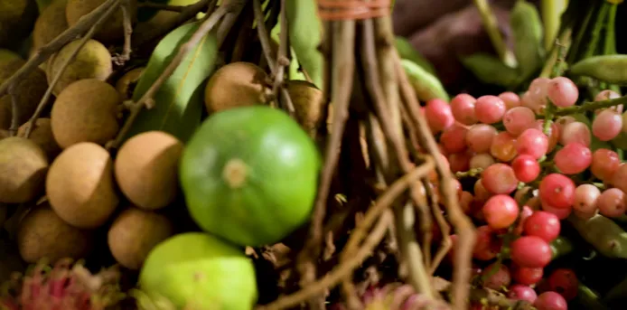 A picture of fruits such as longans and grapes.