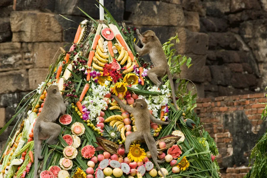 Three monkeys scaling a fruit buffet.
