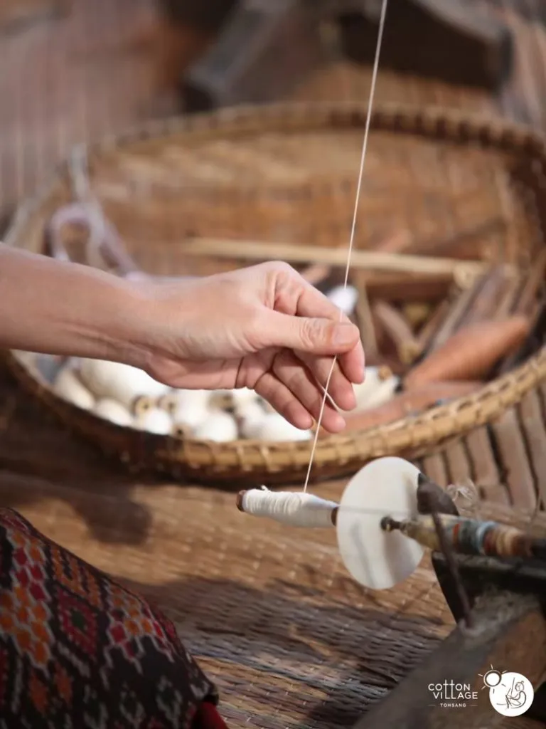 The harvested cotton being handspun into yarn and strengthened into warp.