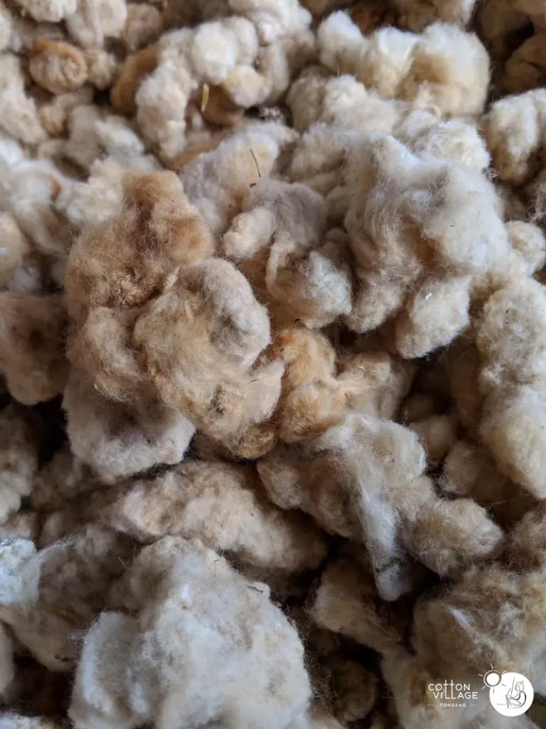 Natural brown ombre cotton.