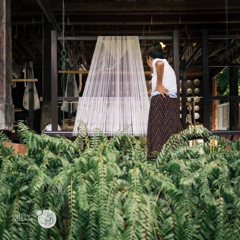 Prepared warp being weft into textile on the loom.