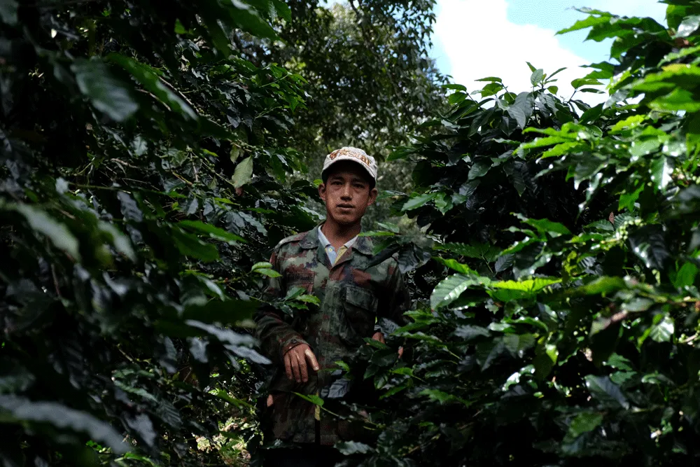 A man in camouflage outfit standing in the forest.