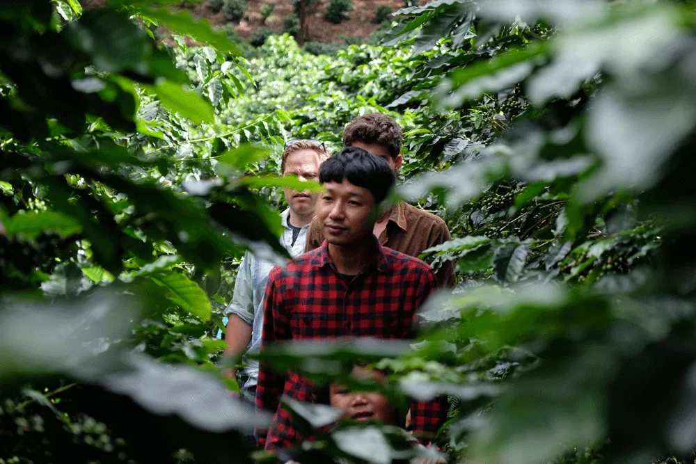 Lee Ayu Chuepa leading a tour of the coffee plantation.