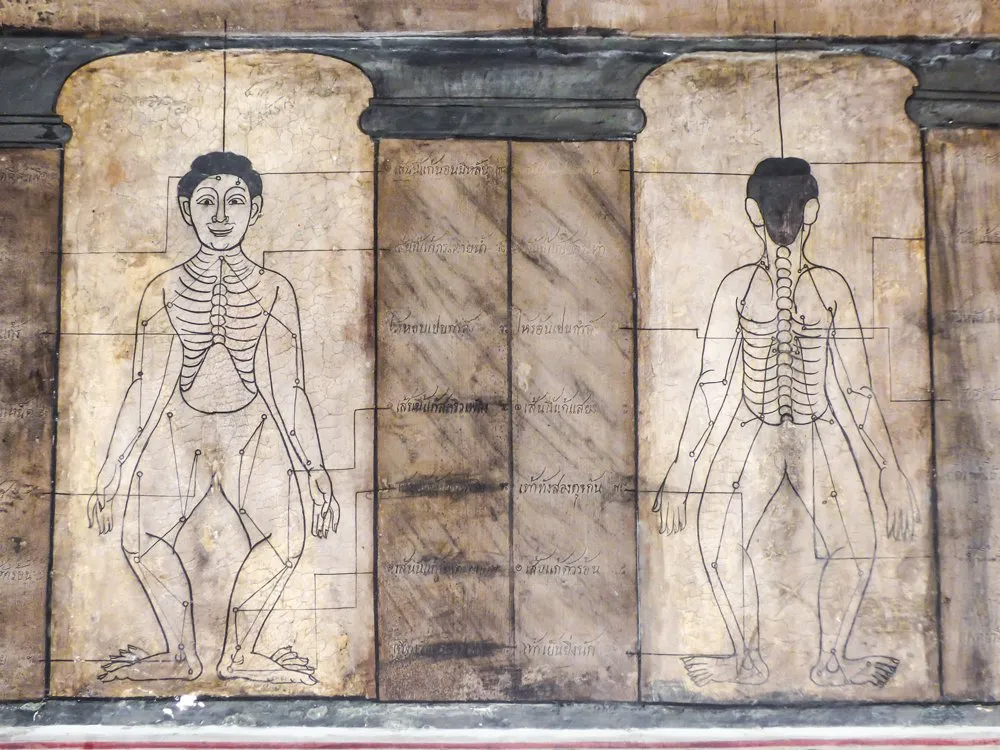 Stone slabs depicting sen (energy lines) used in Thai traditional healing.