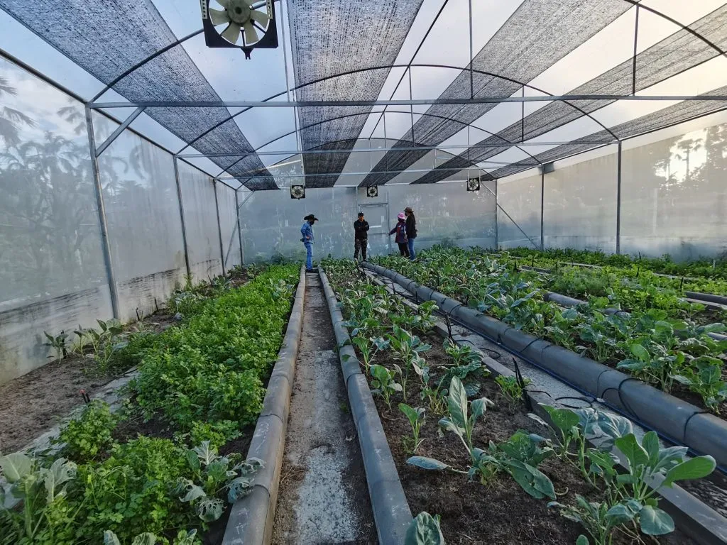A greenhouse at Res-Q Farm that is used to grow plants organically