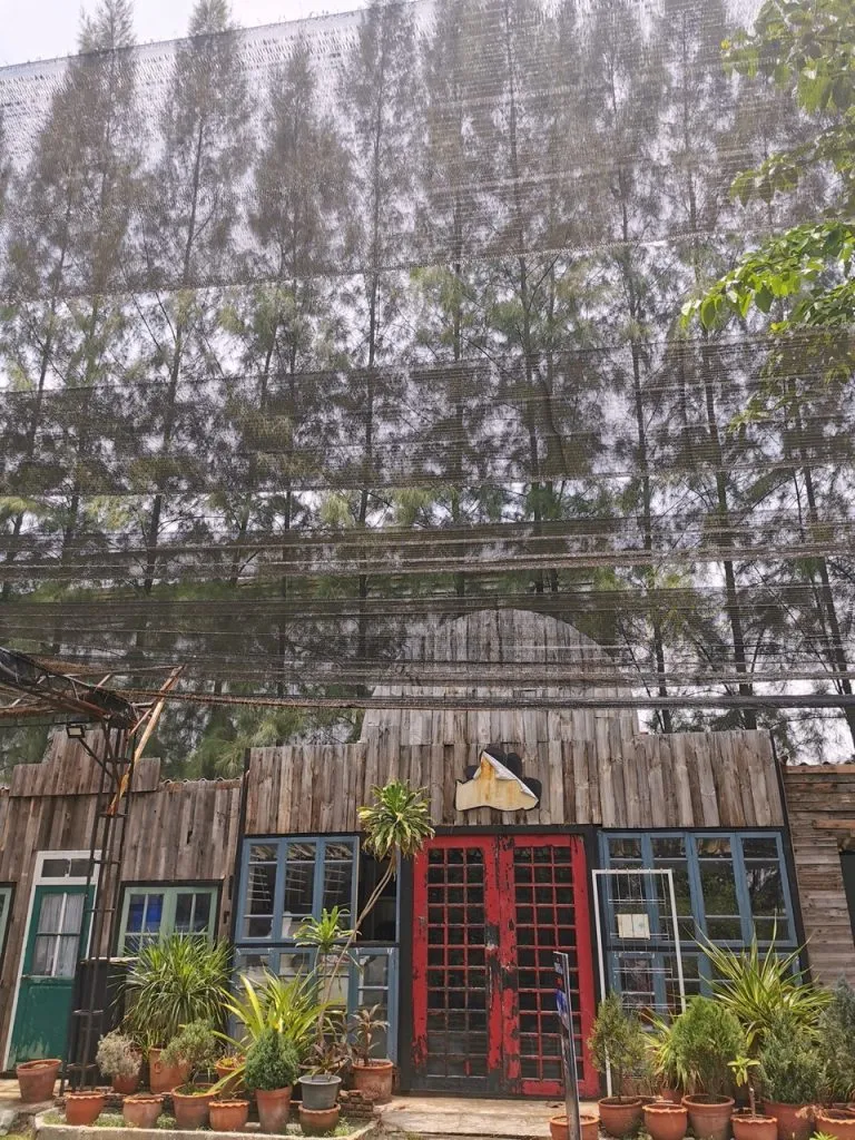 Res-Q Farm is surrounded by pine trees that are used to block wind