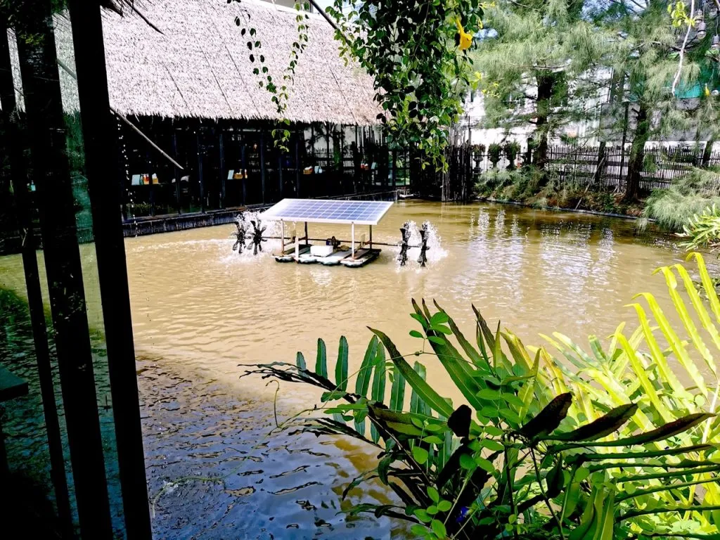 Water aerator with a solar panel used for water treatment at Res-Q Farm