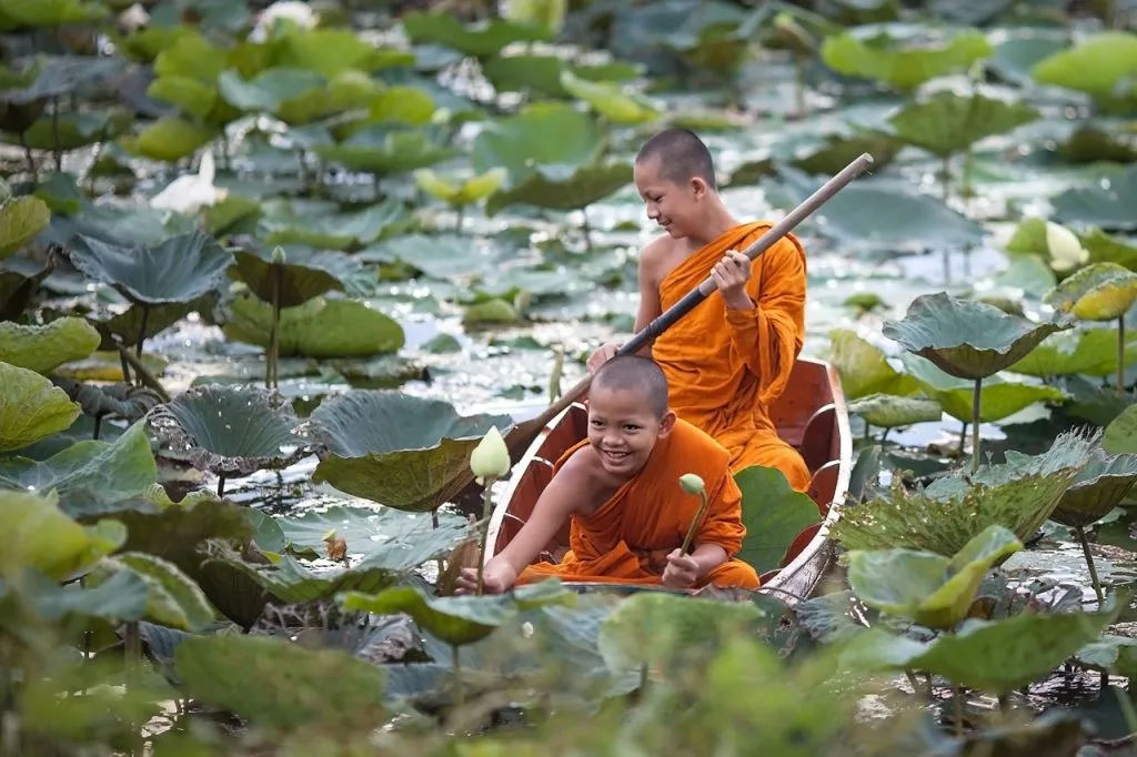Two monks rowing a boat in a lotus pond