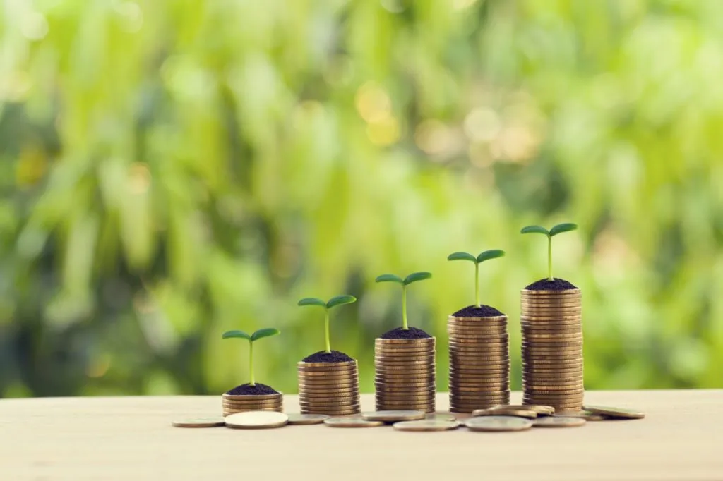 Green sprouts growing on the top of coin stacks
