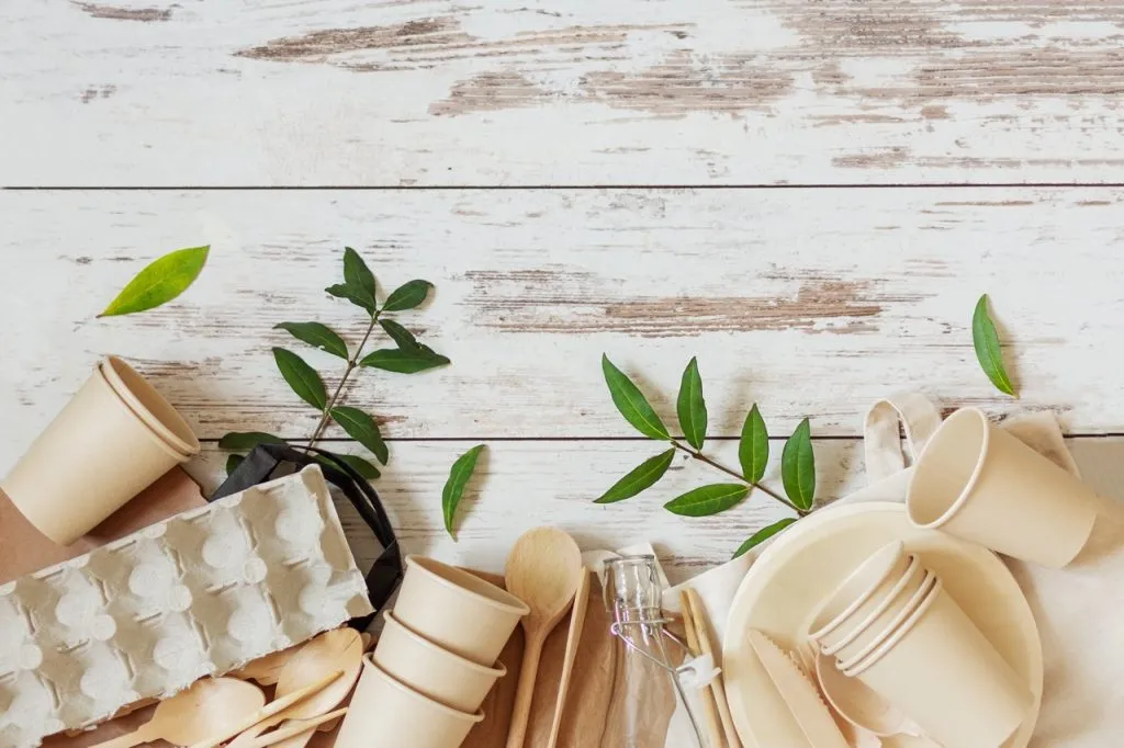 Eco friendly disposable dishes made of bamboo wood and paper on white wooden background