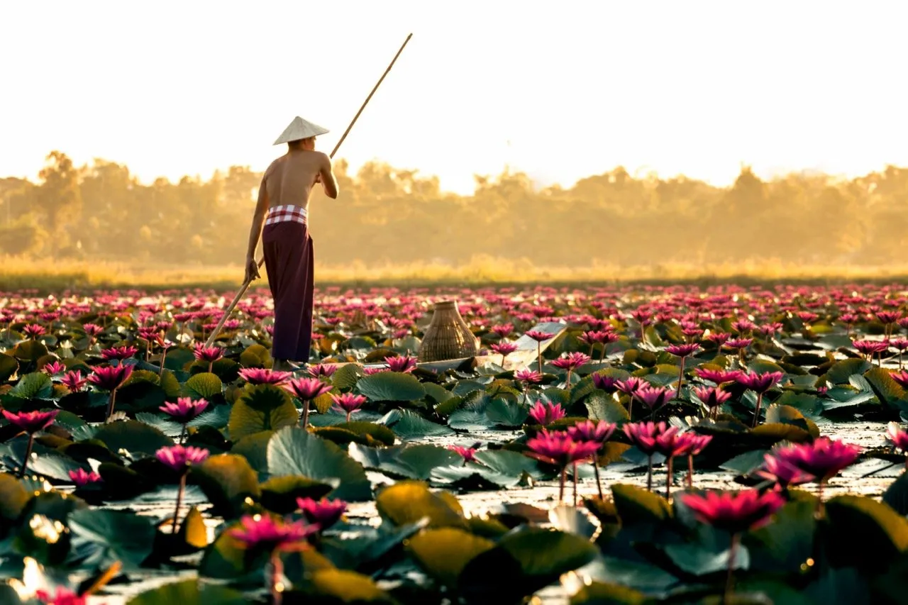 A man on a wooden boat in the Red Lotus Lake
