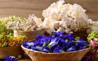Floral Flavors: A Celebration of Edible Flowers in Thailand