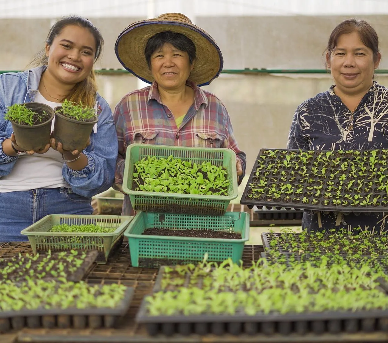 Farmers growing sustainable and organic vegetables