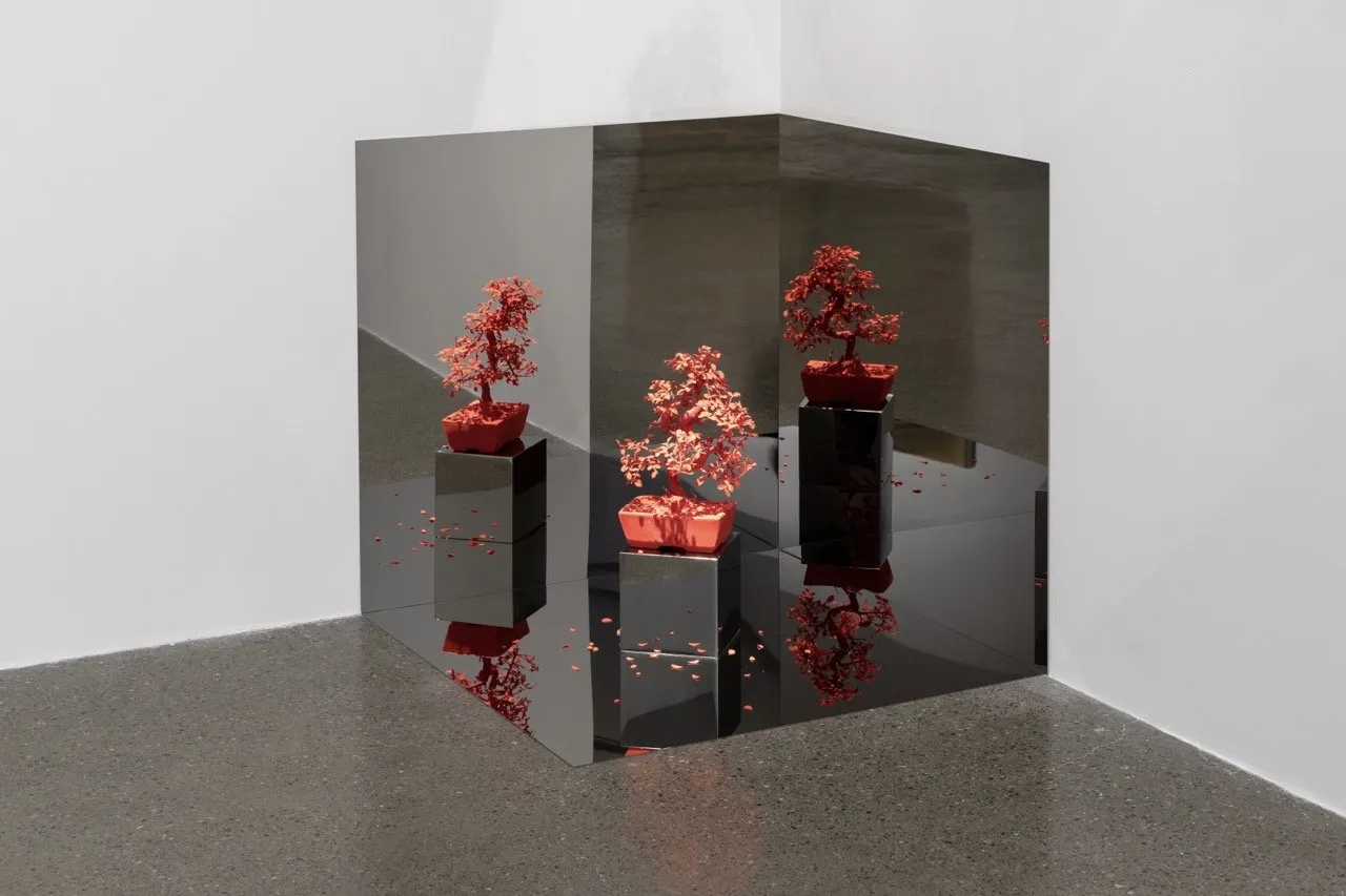 An art installation by Rirkrit Tirajavanija