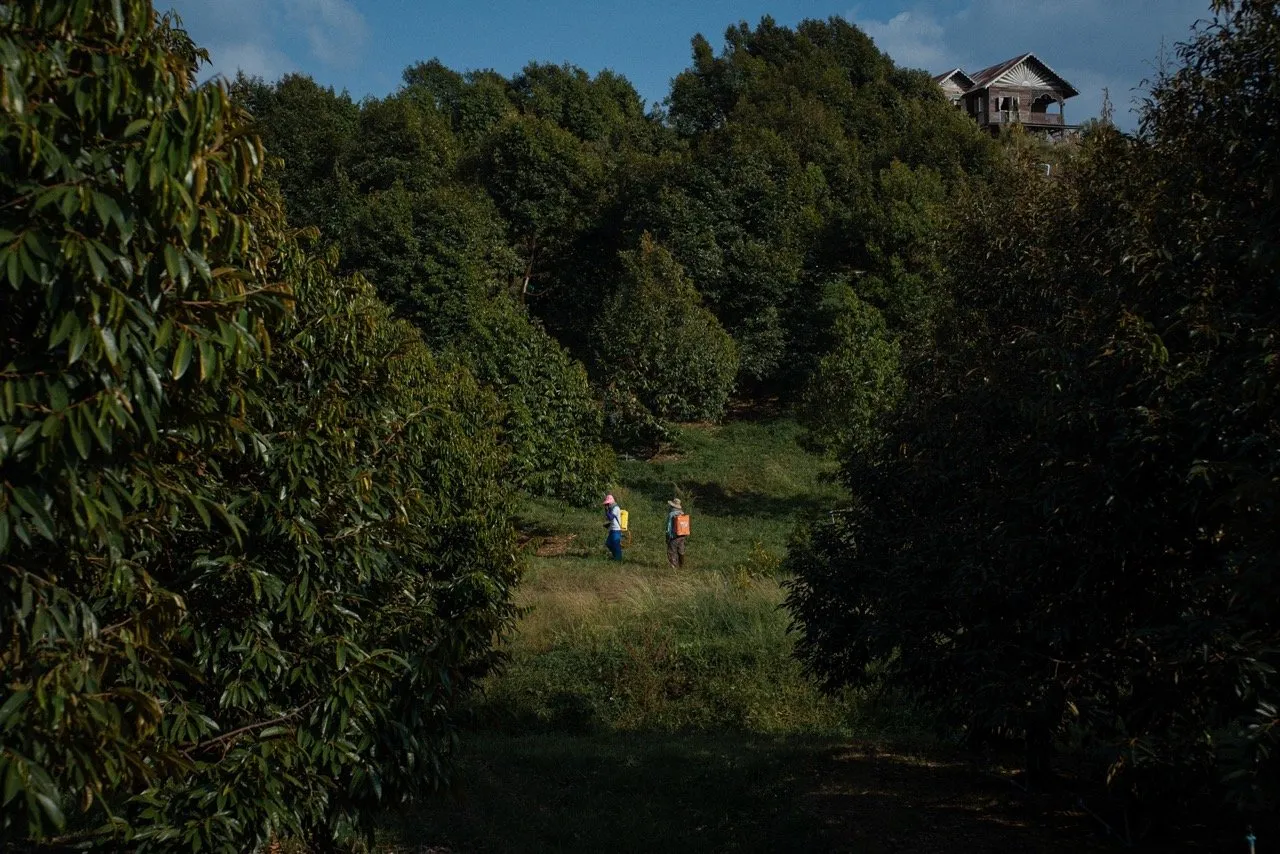 Still from The Paradise of Thorns