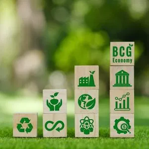 BCG concept for sustainable economy development