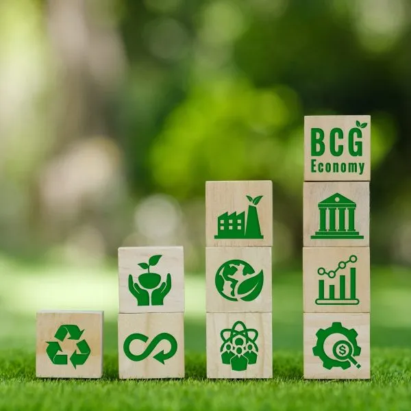 Winners declared for APEC BCG Award 2024