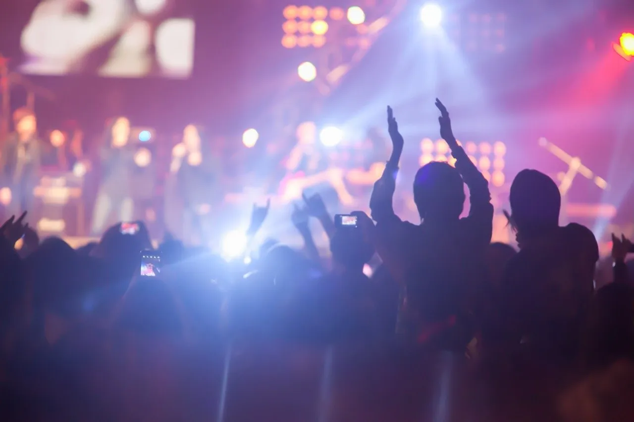 A silhouette of people attending a music festival