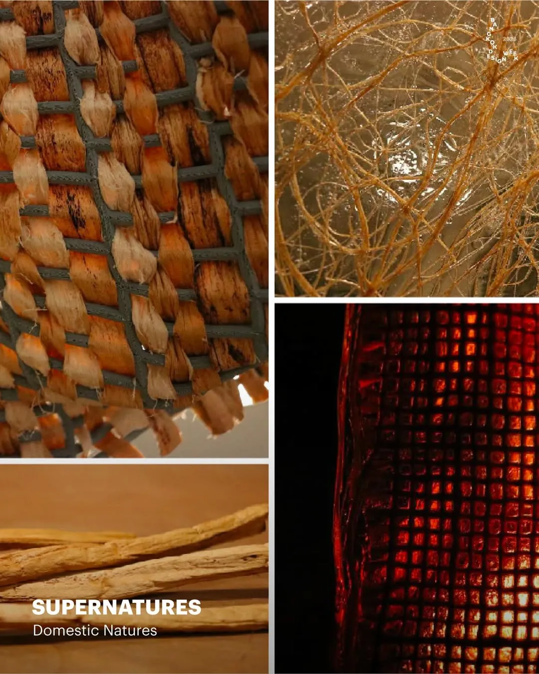 BKKDW2026 activity depicting several kinds of traditional natural materials