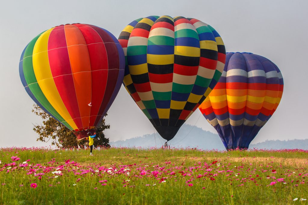 Hot air balloons floating over cosmos flowers field in Chiang Rai Thailand