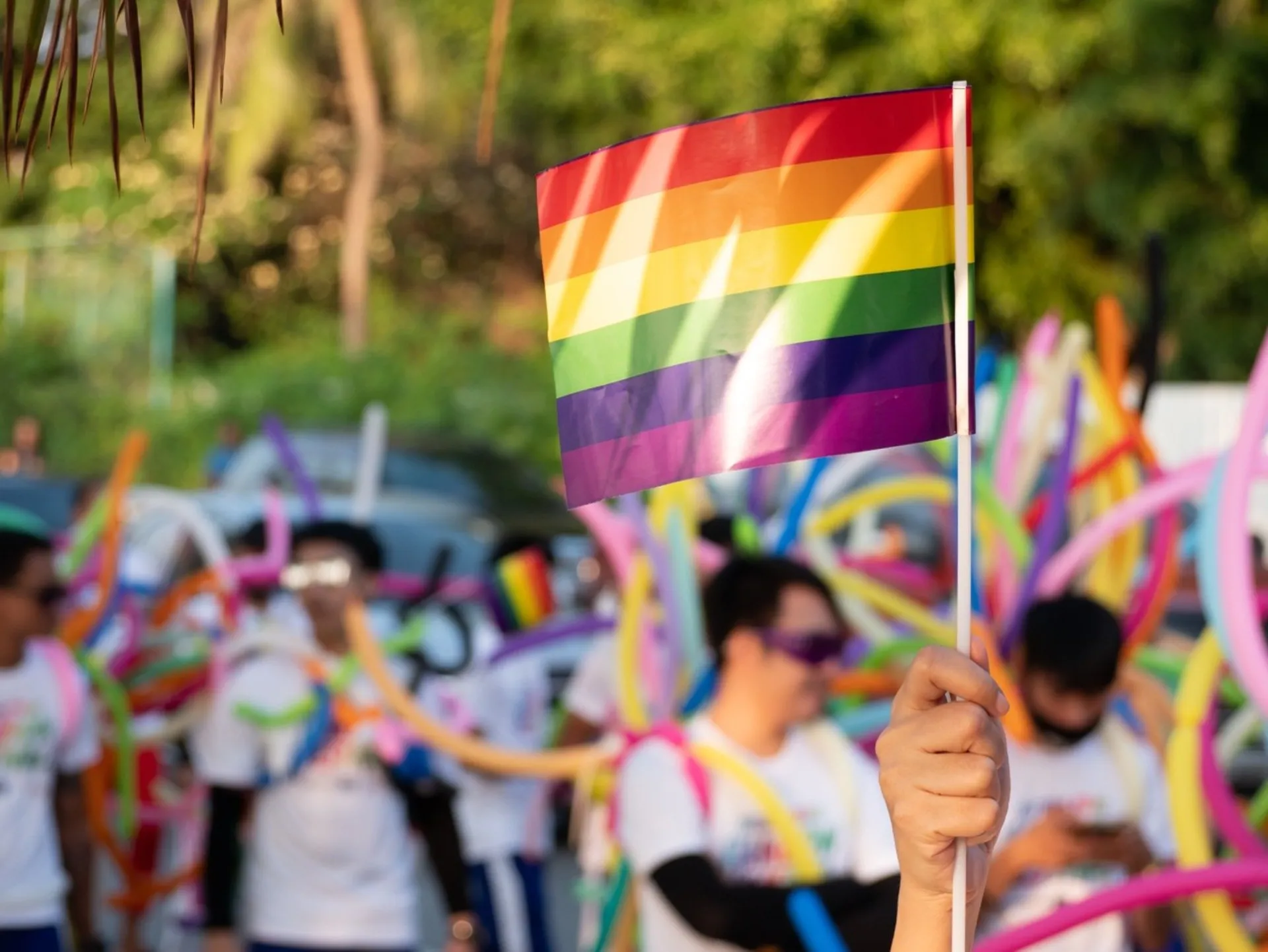 A pride flag at the annual Pride Parade