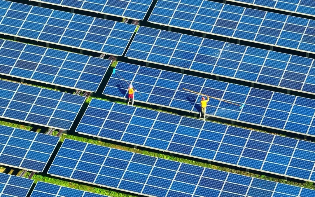 Thailand’s climate tech scene is booming, but it’s not easy being green