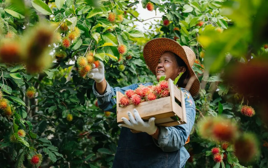 Thai exports hit record high in May, led by tech & agriculture