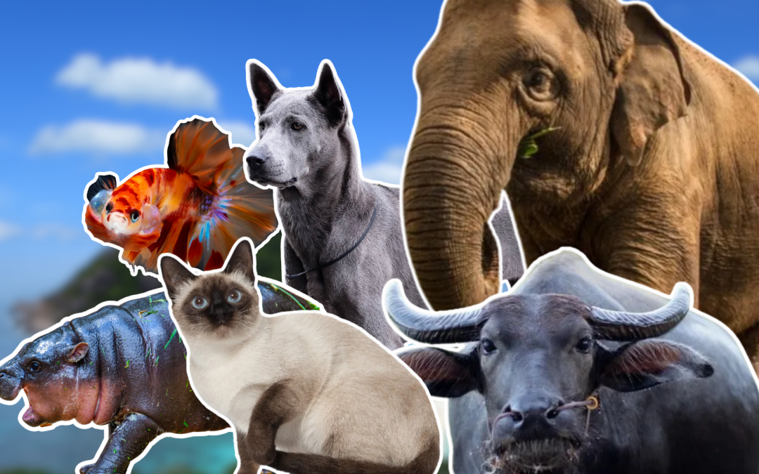 Culture Compass: Iconic Animals Explained