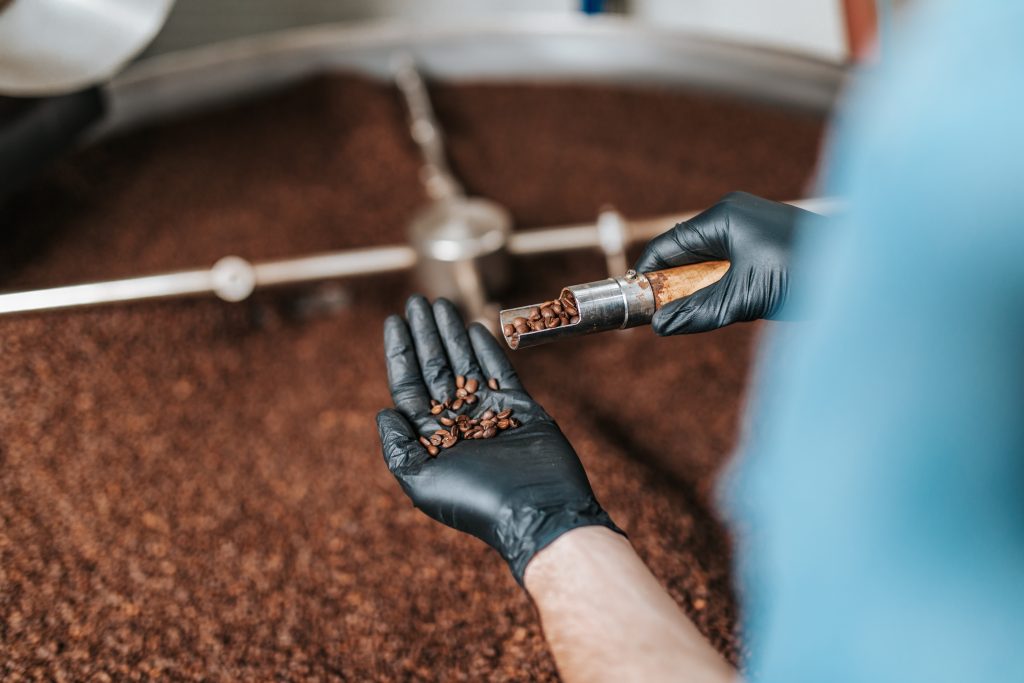 employee sampling roasted coffee at factory, pouring a few coffee beans from a sampler into a gloved hand