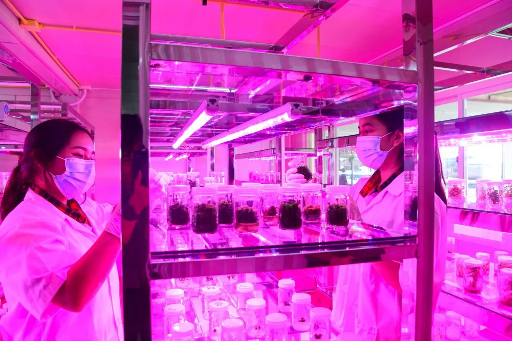 Students maintaining plant samples in school research lab.