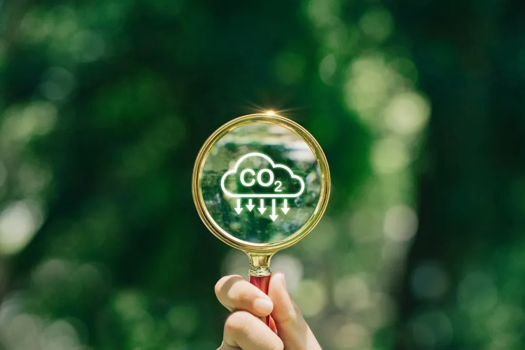 Hand holding magnifying glass with CO2 reduction icon inside.