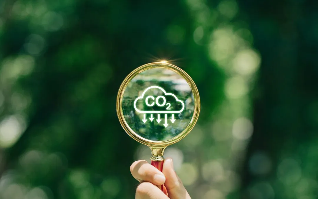 The new frontier of Thailand’s carbon credits market