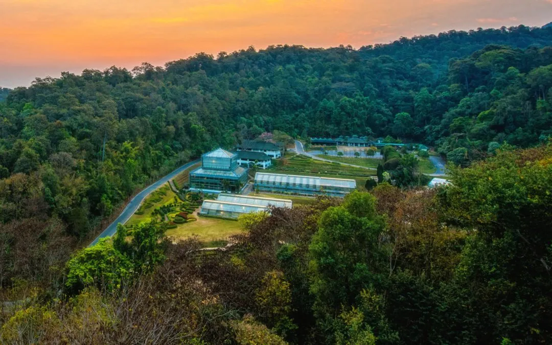 Conservation Takes Root at Queen Sirikit’s Botanic Gardens