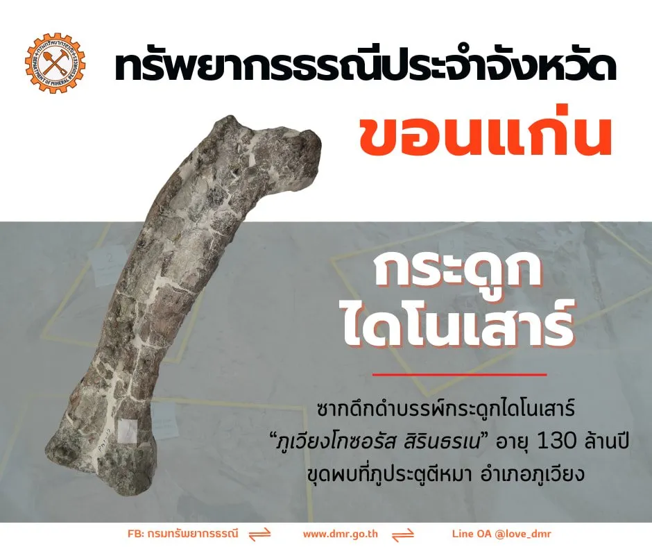 Dinosaur fossil found in Khon Kaen province in the Northeastern region of Thailand