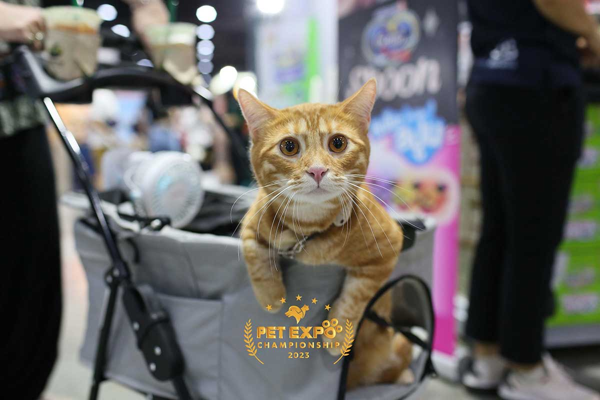 Pet Expo Championship