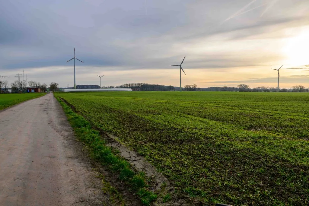 Wind turbines rise above fields beneath an evening sky.